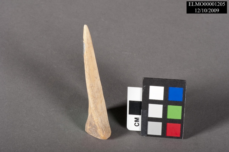 Mammal Bone Awl from the Refuse Mound