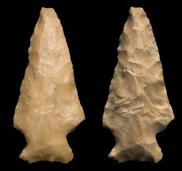 Rose Spring Projectile Point
