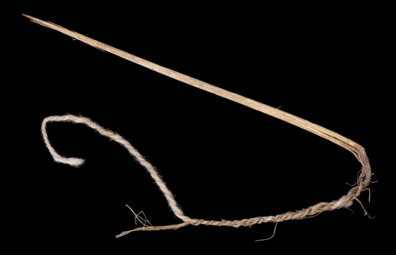 Yucca Needle with Cotton Thread