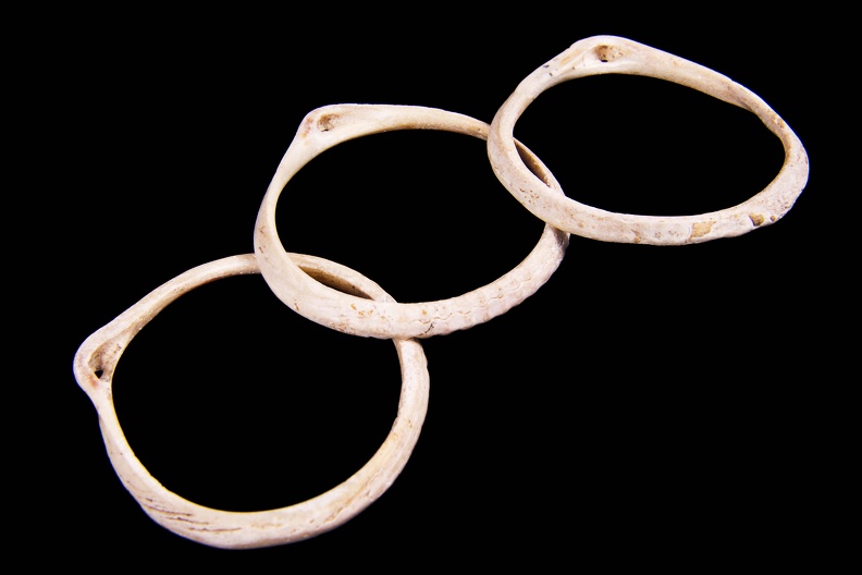 Glycymeris Shell Bracelets