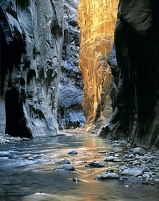 Zion Narrows, the Confluence