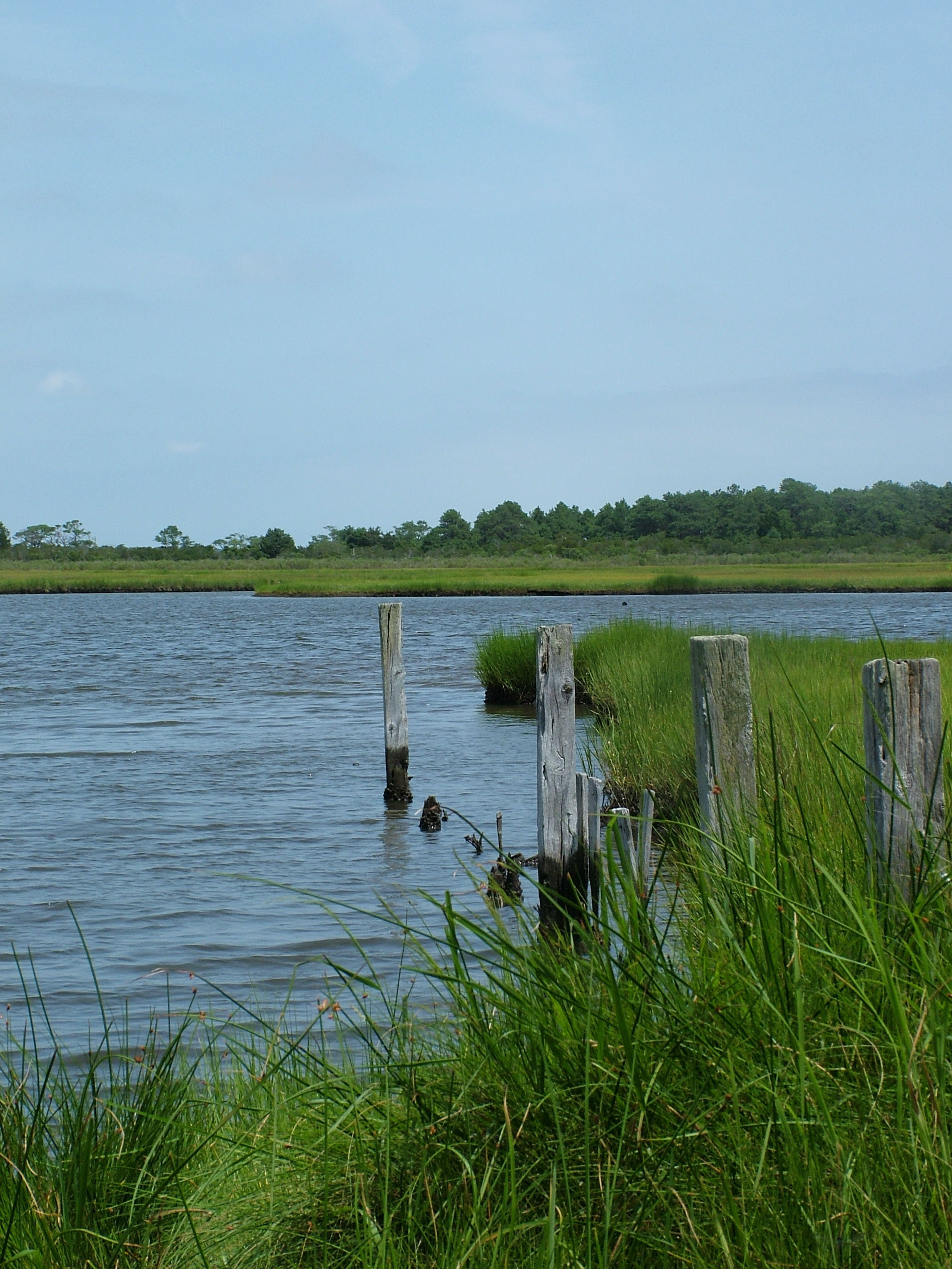 Coastal Plains American Southwest Virtual Museum