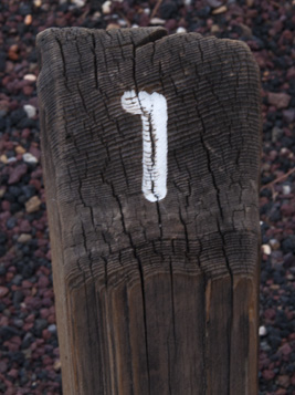 Trail marker 1