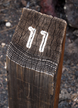 Trail marker 11