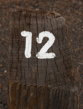 Trail marker 12