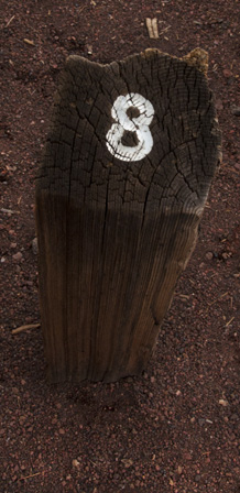 Trail marker 8