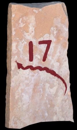 Trail marker 17