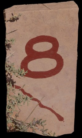 Trail marker 8