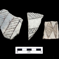 Gallup Black-on-white Sherds