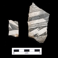 Pipedale Black-on-white Sherds