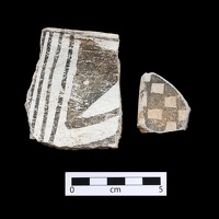 Puerco Black-on-white Sherds