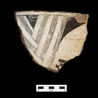 Mimbres Black-on-white (Style II) Sherd