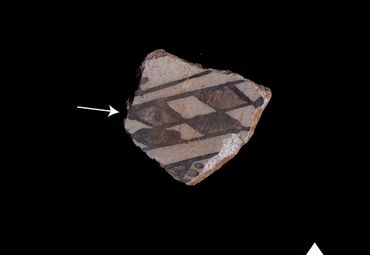 Terminology and Type Sherds