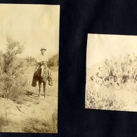 Man on Horse and Prickly Pear Cactus