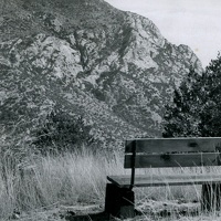 Bench Overlooking Montezuma Canyon