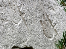Hands with Incised Grooves