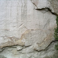 Prehistoric Panel