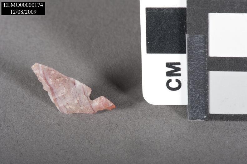 Side-notched Projectile Point