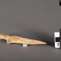 Awl Made from an Ulna
