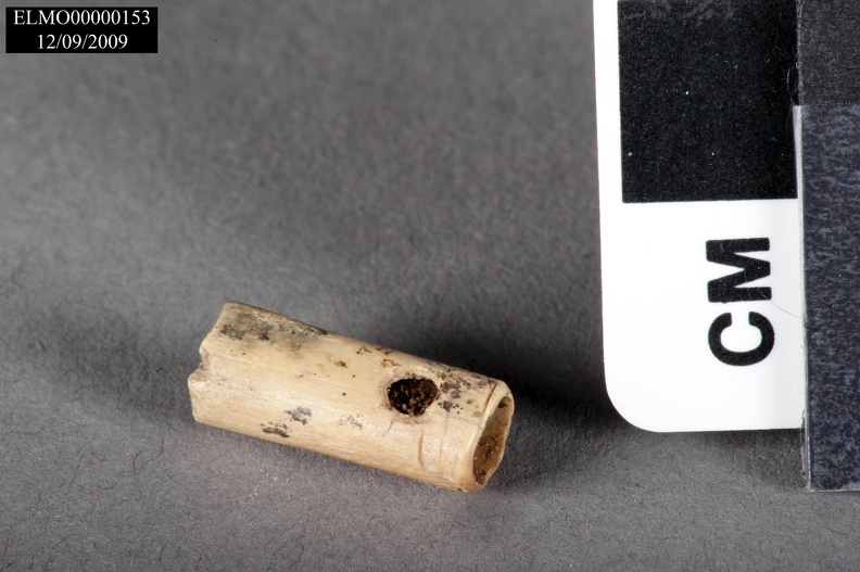 Tubular Bone Bead/Whistle Fragment