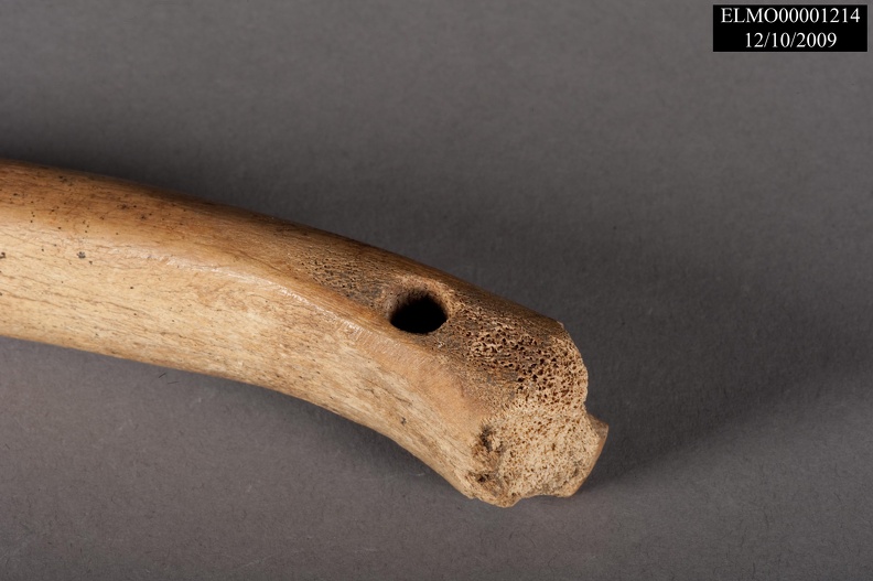 Antler Punch, Hole Detail