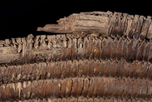 Coiled Basket, Detail