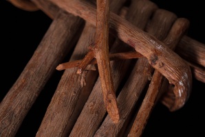 Split-twig Figurine, Detail