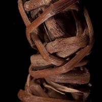 Split-twig Figurine, Head