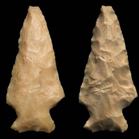 Rose Spring Projectile Point