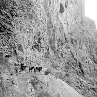 Horseshoe Mesa, ca. 1907
