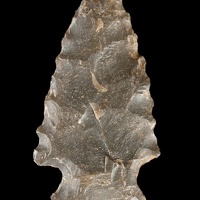 Brown Chert Projectile Point