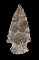 Brown Chert Projectile Point