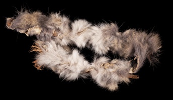Rabbit Fur and Yucca Cordage