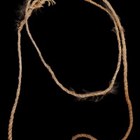 Cordage with Feathers