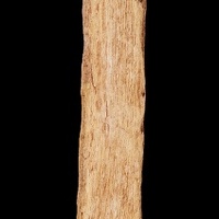 Carved Cottonwood Root