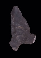 Notched Projectile Point