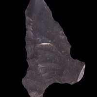 Notched Projectile Point
