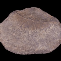 Flaked Stone Tool