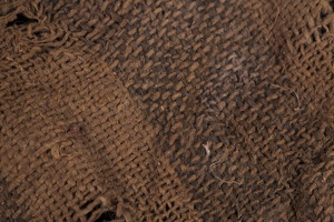 Brown Cotton Cloth, Detail
