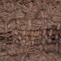 Yucca and Cotton Cloth, Detail