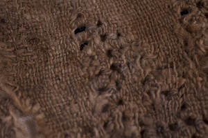 Cotton Cloth, Detail