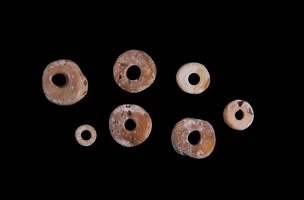 Shell Disk Beads
