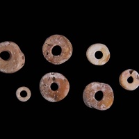 Shell Disk Beads