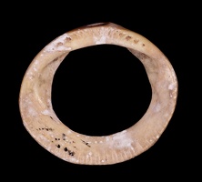 Ring or Pendant
