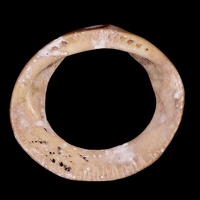 Ring or Pendant