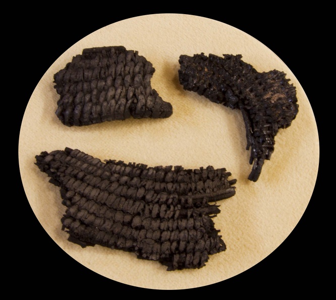 Charred Basket Fragments