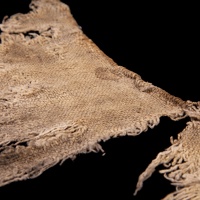 Basket Weave Cloth, Close-up