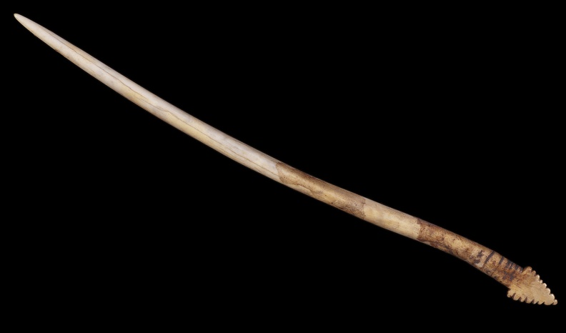 Bone Awl or Hairpin