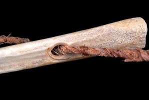Close View of Bone Sewing Needle