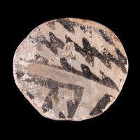 Flagstaff Black-on-white Shaped Disk